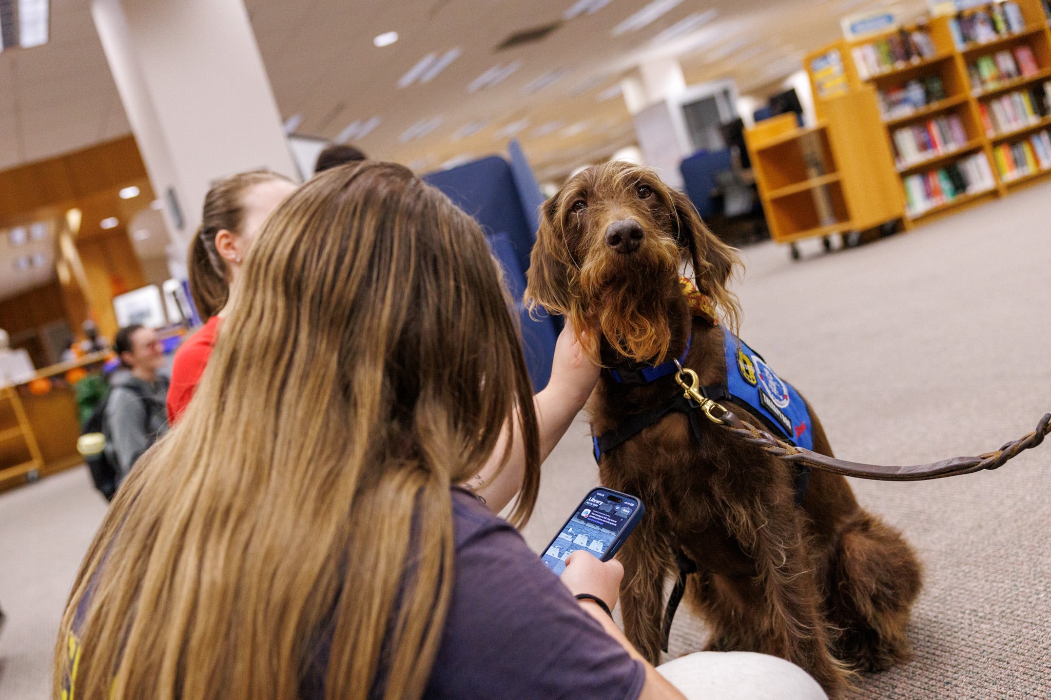 A cute scruffy dog getting attention from students in the library