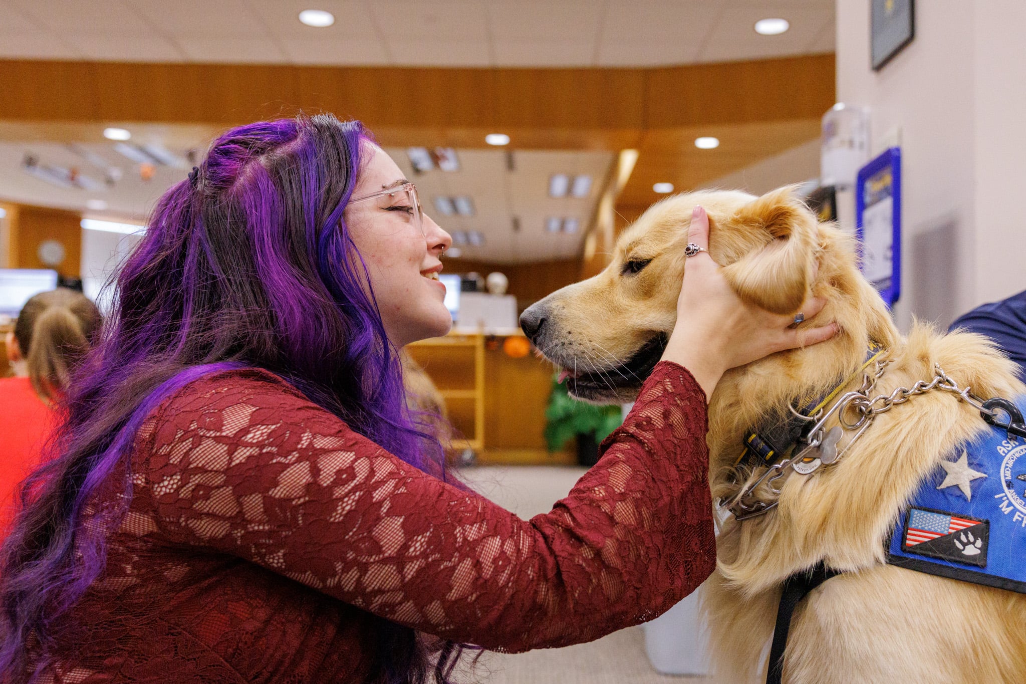 A Golden Retriever in the Library getting attention from students