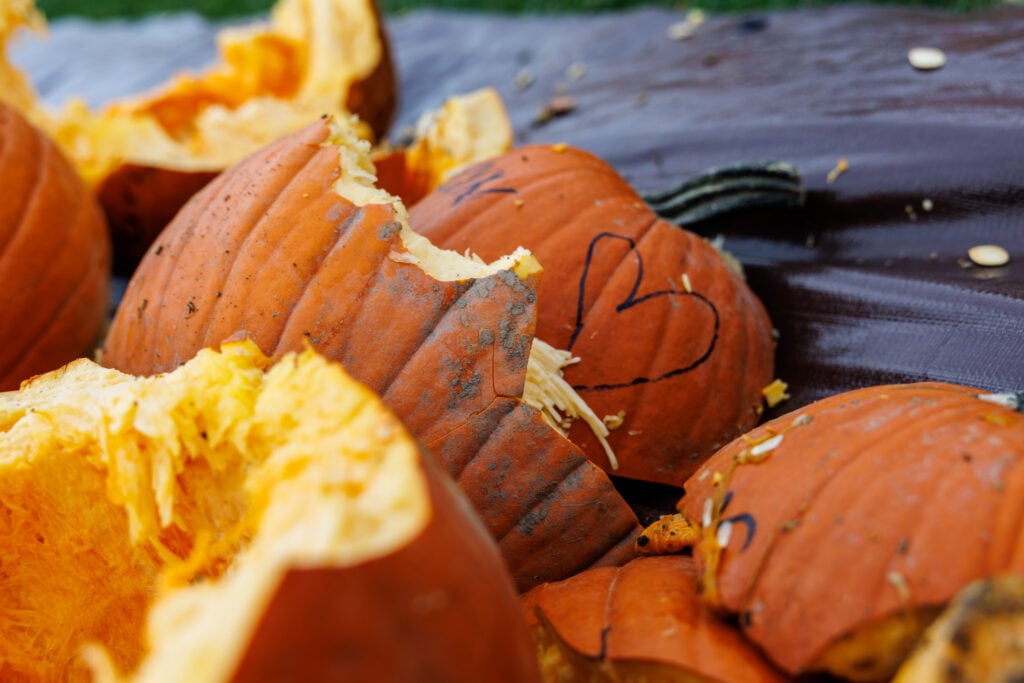 A close-up of several broken pumpkins, revealing their orange flesh and seeds, with one pumpkin marked with a heart symbol.