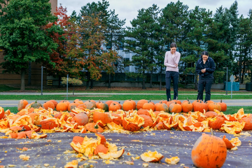 Two people stand near a large pile of pumpkins and pumpkin scraps on a grassy area, with trees in the background.